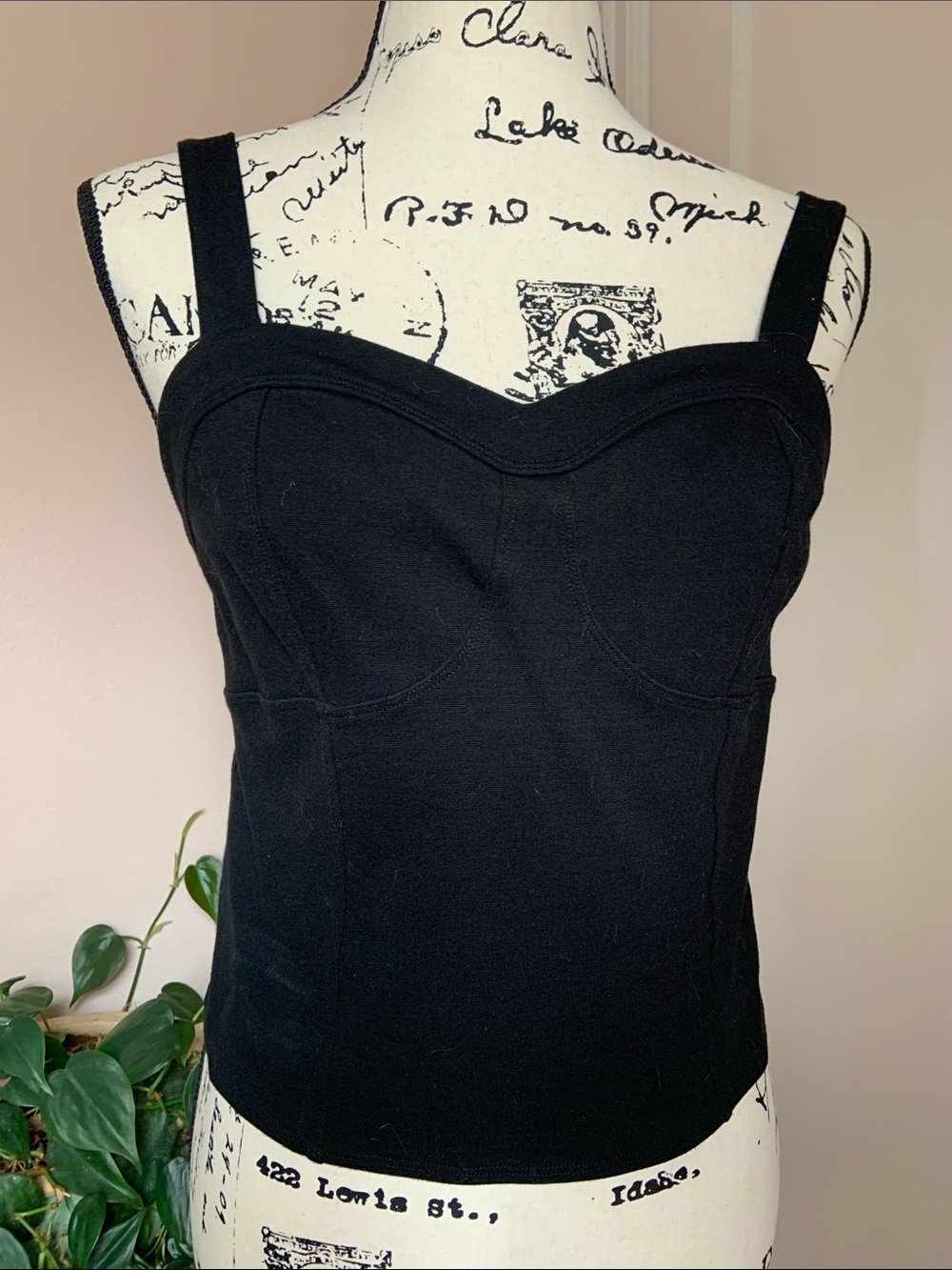 Anthropologie Postmark camisole